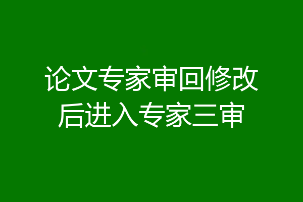 论文专家审回修改后进入专家三审