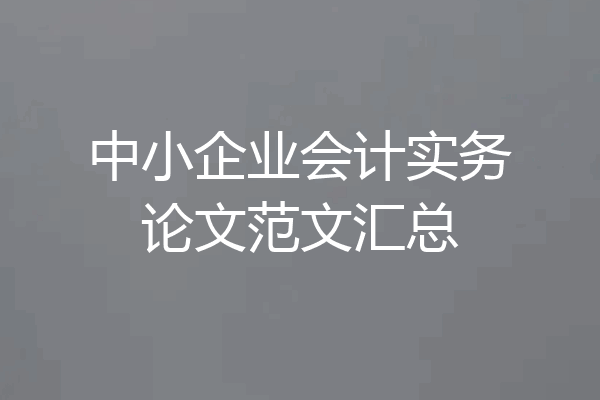 中小企业会计实务论文范文汇总
