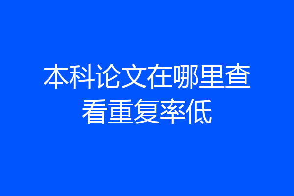 本科论文在哪里查看重复率低