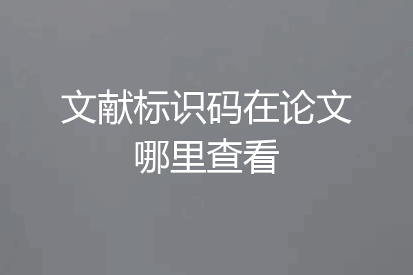文献标识码在论文哪里查看
