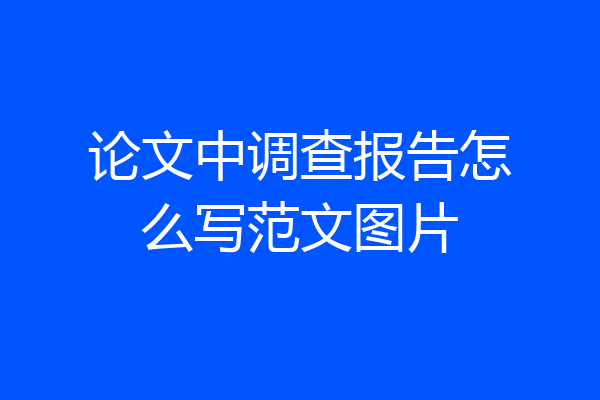 论文中调查报告怎么写范文图片