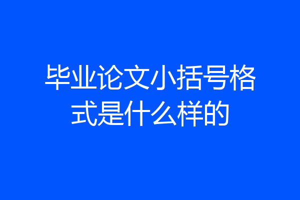 毕业论文小括号格式是什么样的