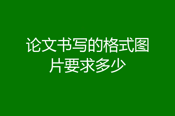 论文书写的格式图片要求多少