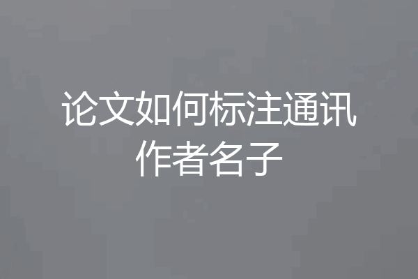 论文如何标注通讯作者名子