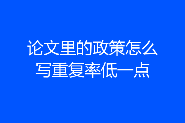 论文里的政策怎么写重复率低一点