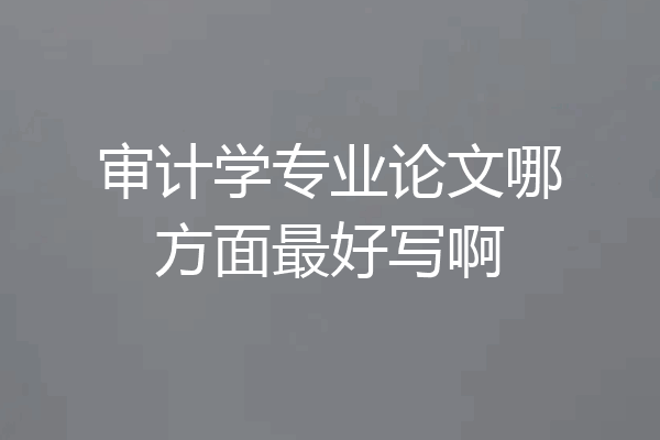 审计学专业论文哪方面最好写啊
