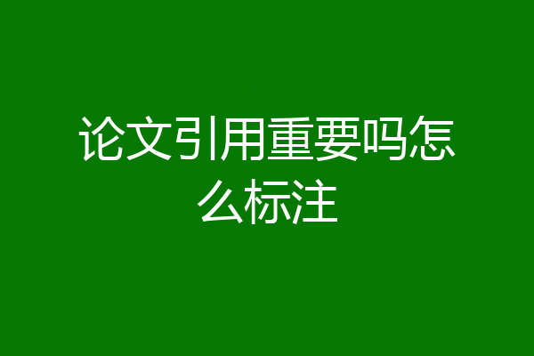 论文引用重要吗怎么标注