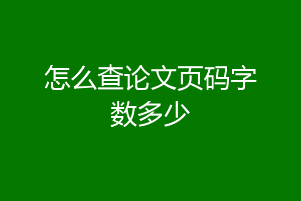 怎么查论文页码字数多少