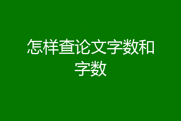 怎样查论文字数和字数