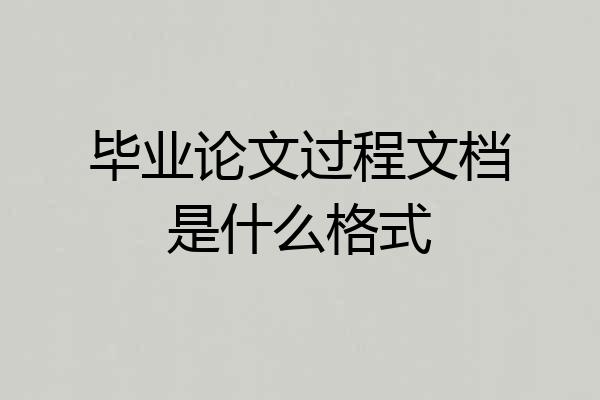 毕业论文过程文档是什么格式