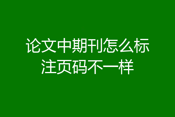 论文中期刊怎么标注页码不一样