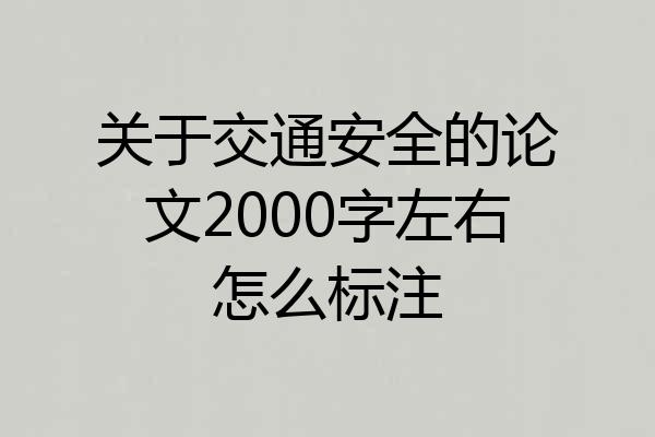 关于交通安全的论文2000字左右怎么标注