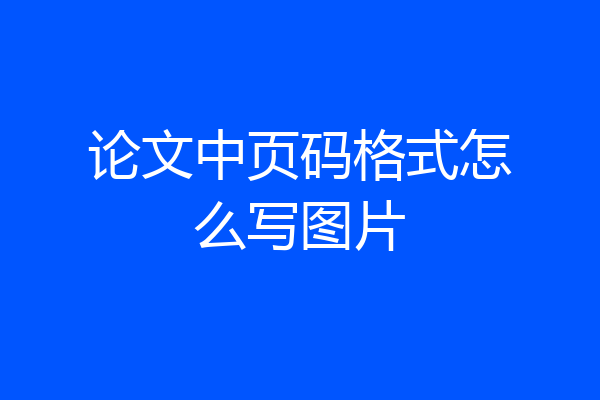 论文中页码格式怎么写图片