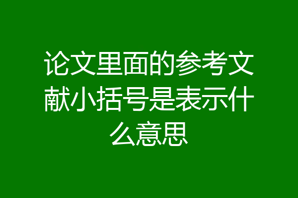 论文里面的参考文献小括号是表示什么意思