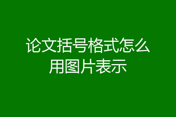 论文括号格式怎么用图片表示