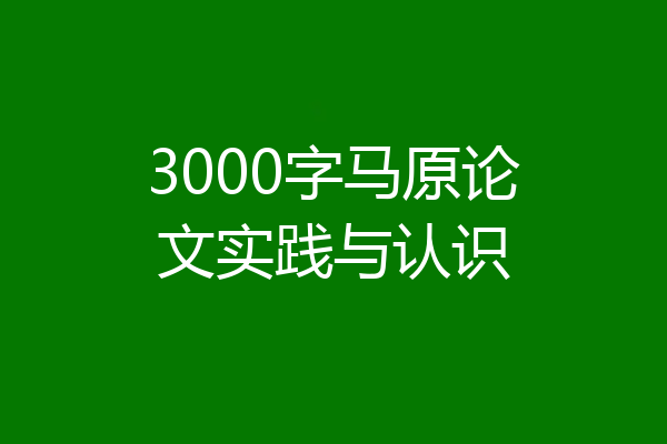 3000字马原论文实践与认识