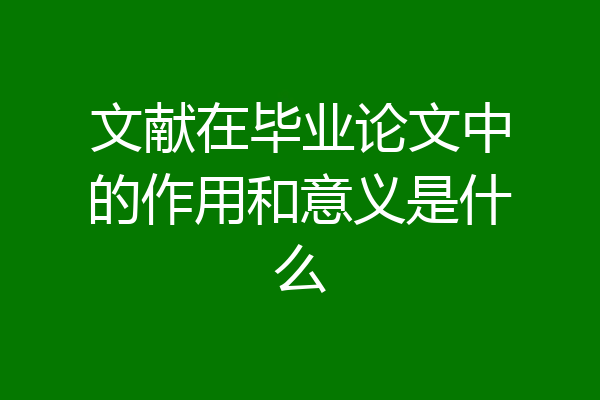 文献在毕业论文中的作用和意义是什么