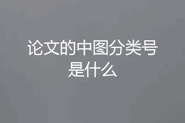 论文的中图分类号是什么