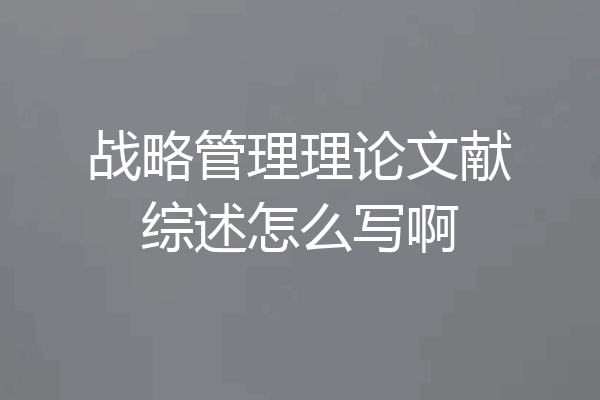 战略管理理论文献综述怎么写啊