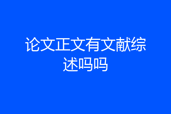论文正文有文献综述吗吗