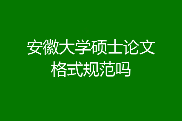 安徽大学硕士论文格式规范吗