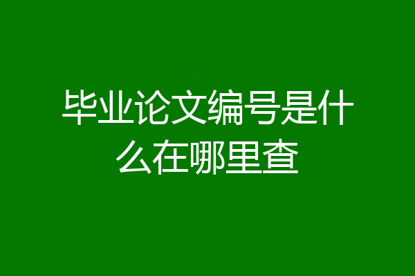 毕业论文编号是什么在哪里查