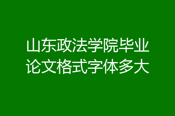 山东政法学院毕业论文格式字体多大