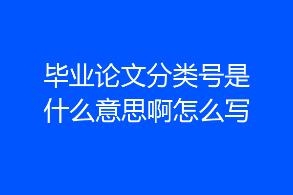 毕业论文分类号是什么意思啊怎么写
