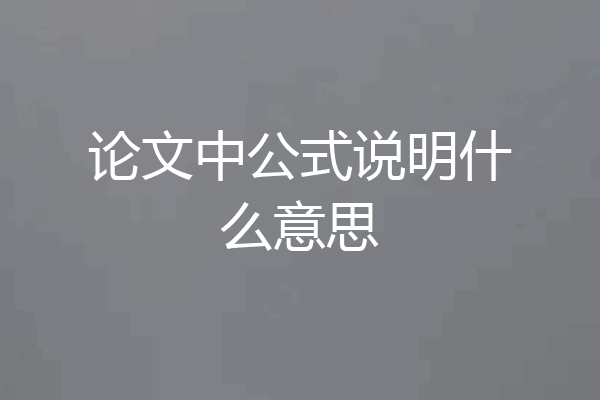 论文中公式说明什么意思