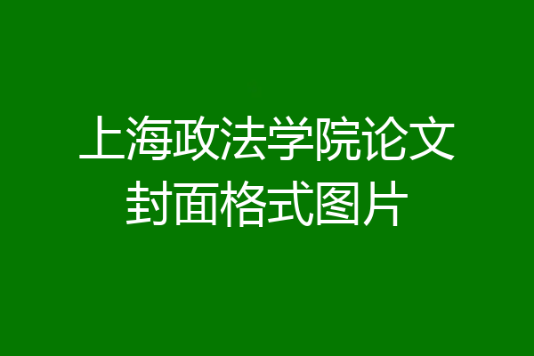 上海政法学院论文封面格式图片