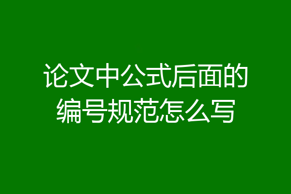论文中公式后面的编号规范怎么写