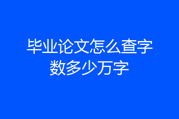 毕业论文怎么查字数多少万字