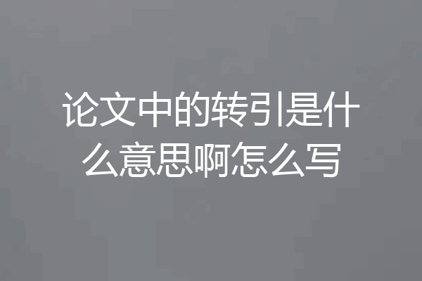 论文中的转引是什么意思啊怎么写