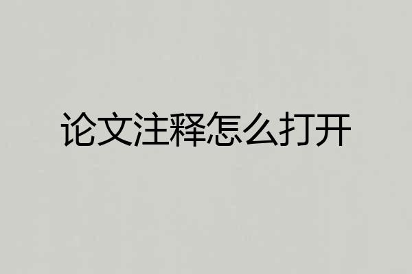 论文注释怎么打开