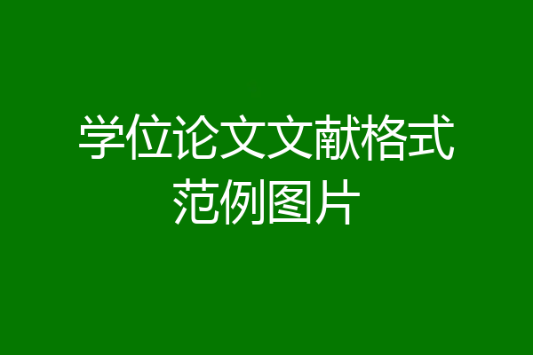 学位论文文献格式范例图片
