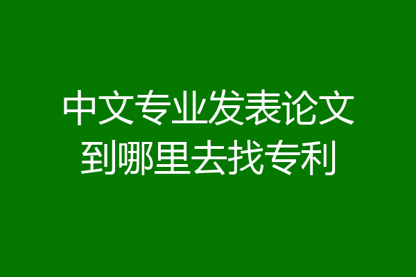 中文专业发表论文到哪里去找专利