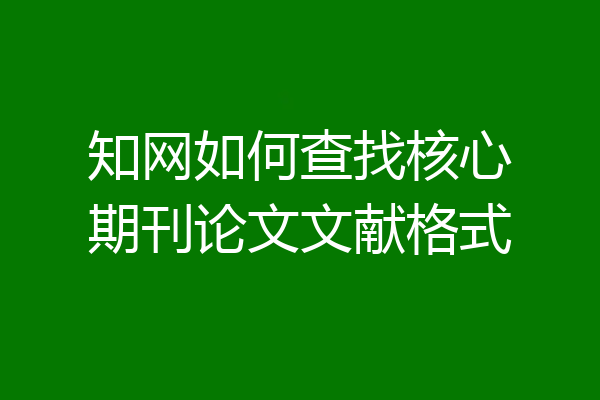 知网如何查找核心期刊论文文献格式