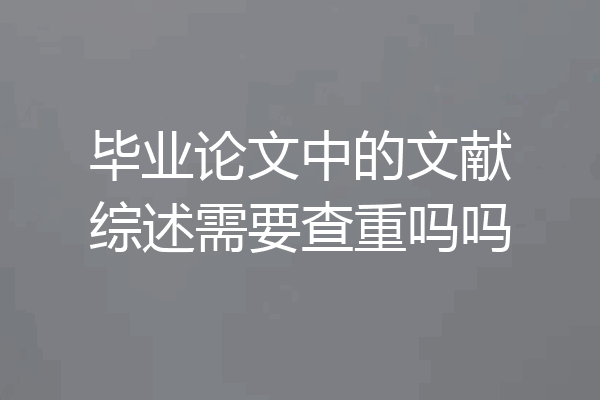 毕业论文中的文献综述需要查重吗吗