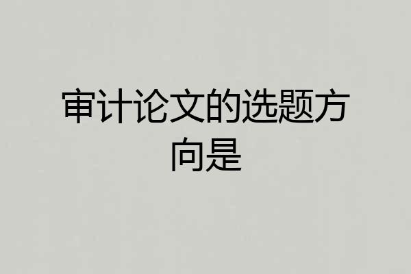 审计论文的选题方向是