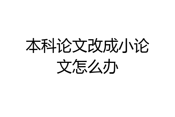 本科论文改成小论文怎么办