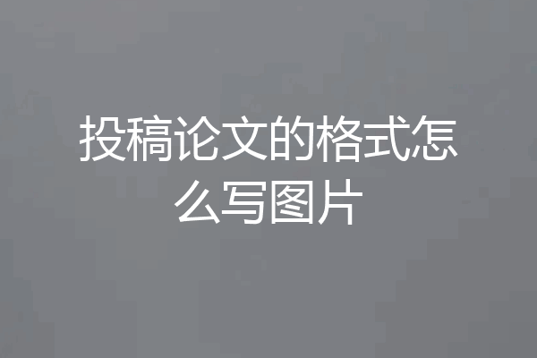 投稿论文的格式怎么写图片