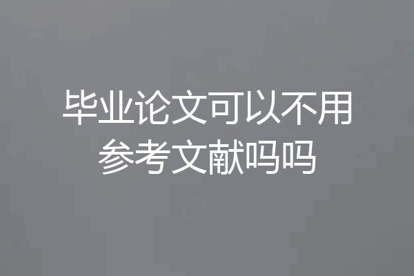 毕业论文可以不用参考文献吗吗