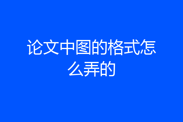 论文中图的格式怎么弄的