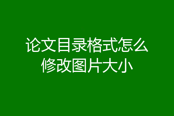 论文目录格式怎么修改图片大小
