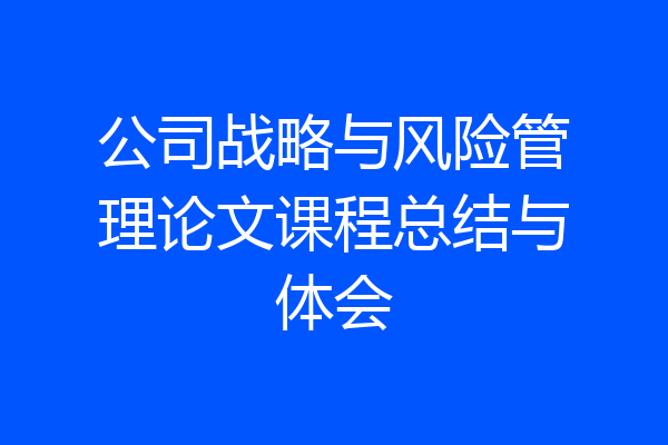 公司战略与风险管理论文课程总结与体会