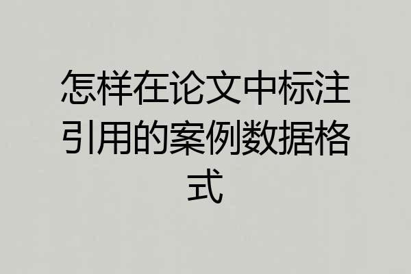怎样在论文中标注引用的案例数据格式