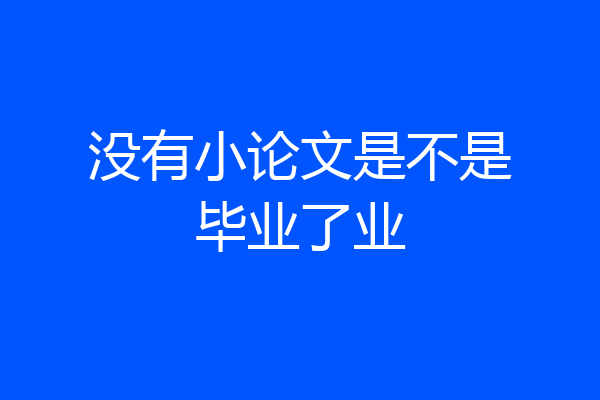 没有小论文是不是毕业了业