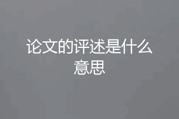 论文的评述是什么意思