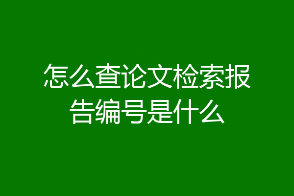 怎么查论文检索报告编号是什么