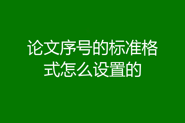 论文序号的标准格式怎么设置的